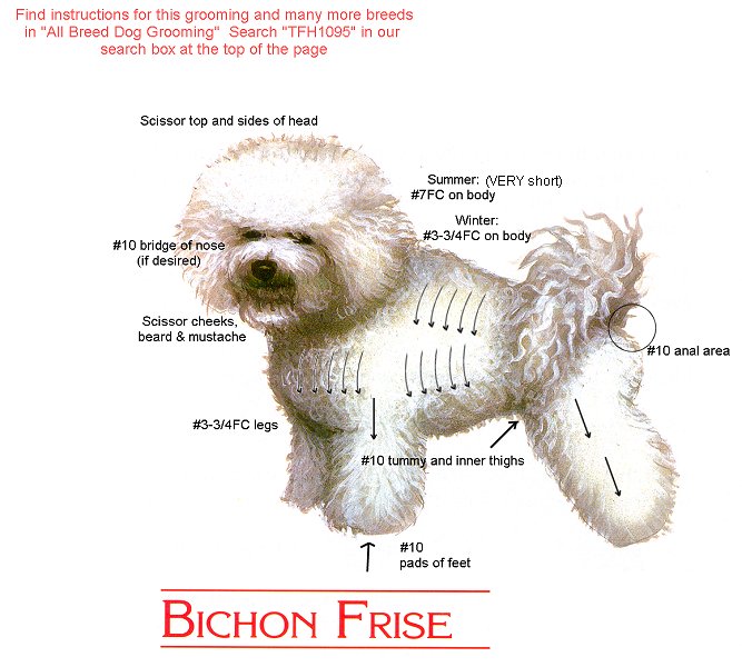 Professional Andis Dog Clippers Kit For Bichons, Andis Professional Clipper Kit, Bichon ( Xtra