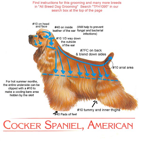 Dog Grooming Kit For Cocker Spaniel Dog Grooming Kit For Cocker Spaniel