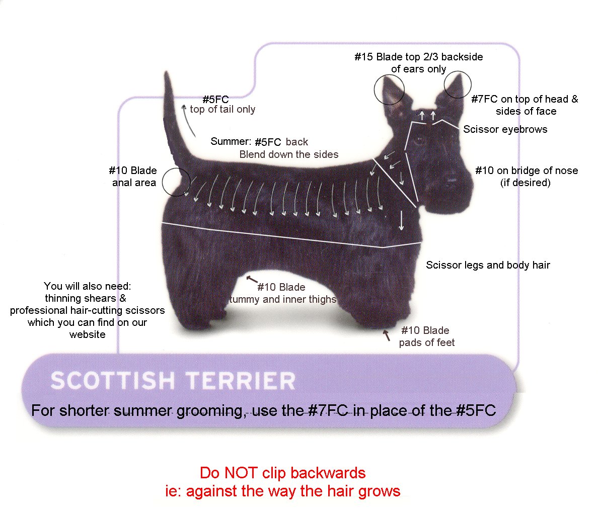 Dog Clippers Single, 2speed and Super 2speed. Andis and Oster Dog