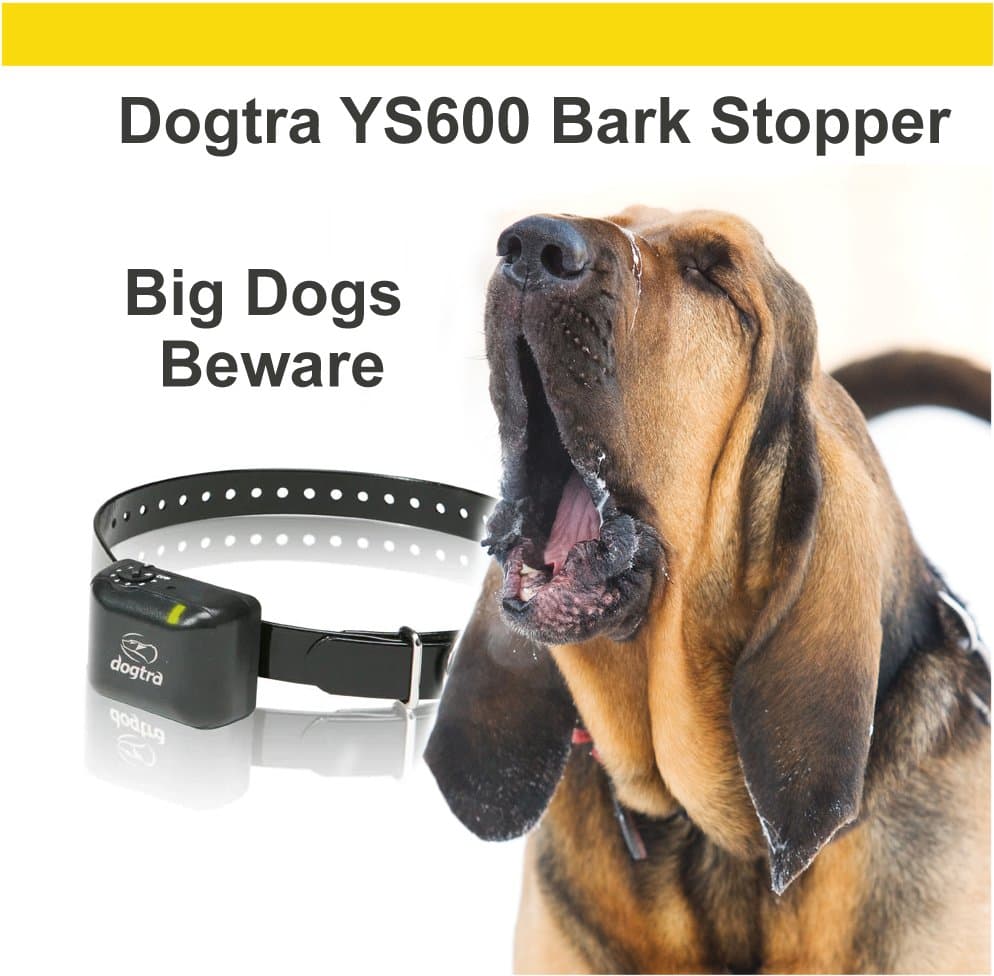 Dogtra Big Dog Bark Collar