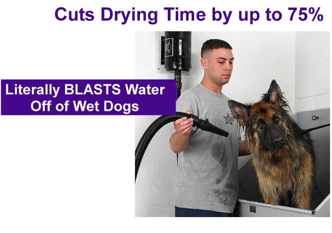 2-Speed Air Force Blaster Dryer