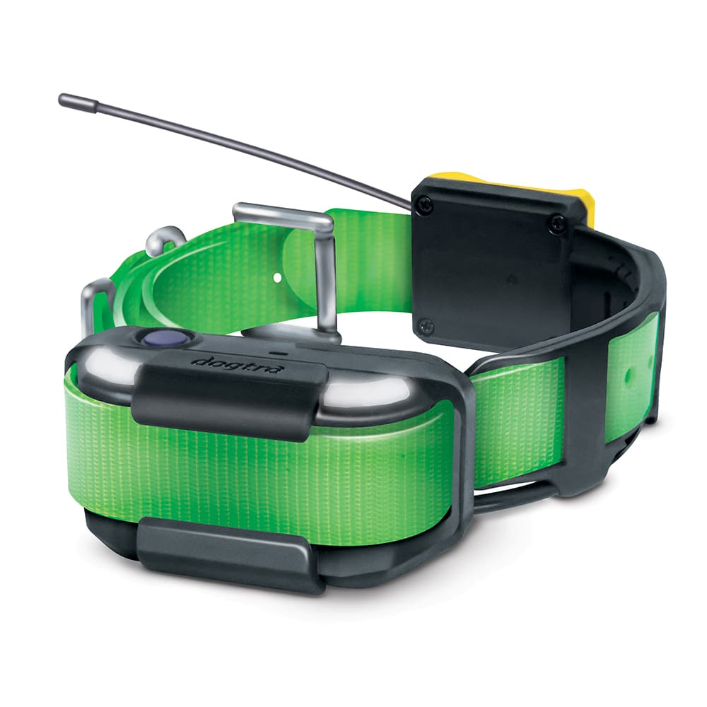 Pathfinder2 Green Extra Receiver Collar