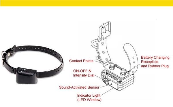 Dogtra Small Dog Bark Collar