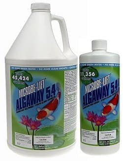 32 oz Microbe-Lift Algaway 5.4