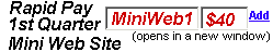 click to pay for a 1st quarter mini web site