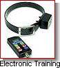Electronic Training Equipment