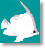 Fish Department