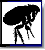 Fleas Department
