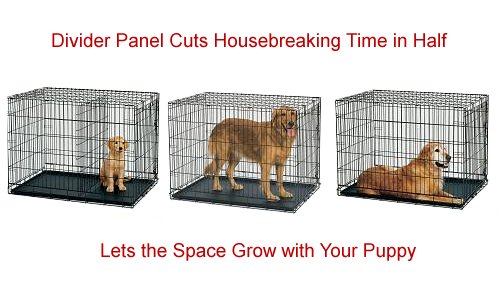 Midwest Life Stages Double Door Fold And Carry Dog Crates