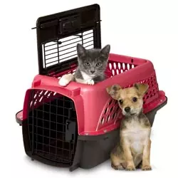 Petmate Top Loading Pet Travel Kennel 