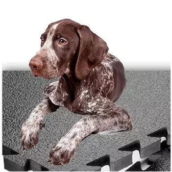 Dog Kennel Flooring