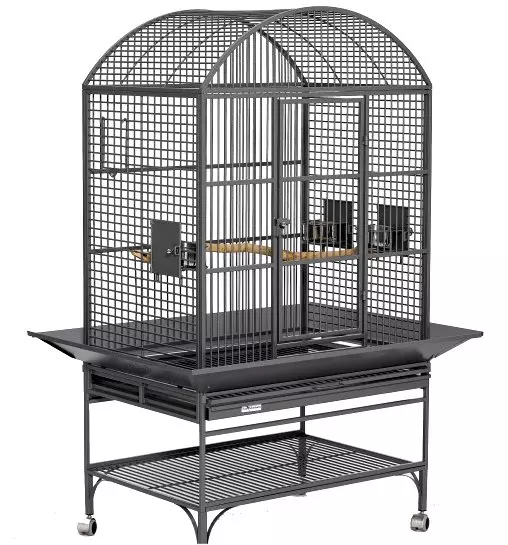 Bird Cages on Sale
