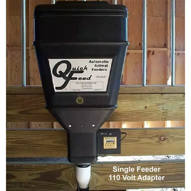 automatic grain feeder for horses