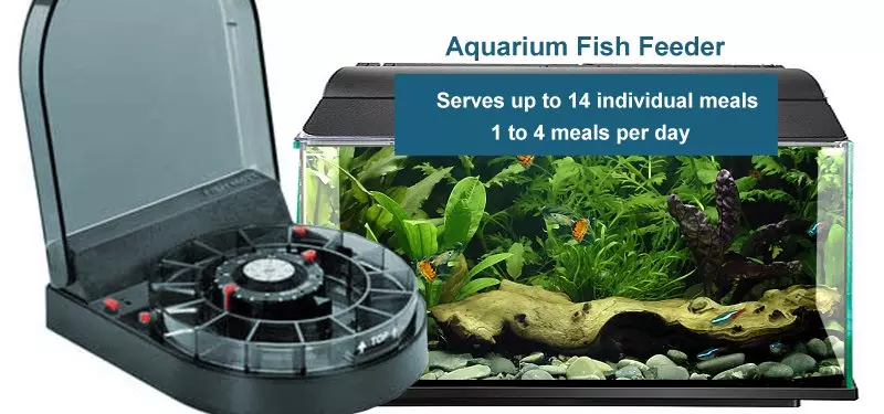Fish Mate F14 Automatic Fish Feeder