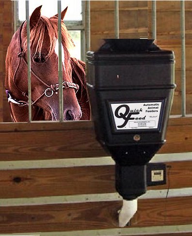 Quick Feed Automatic Horse Feeder 