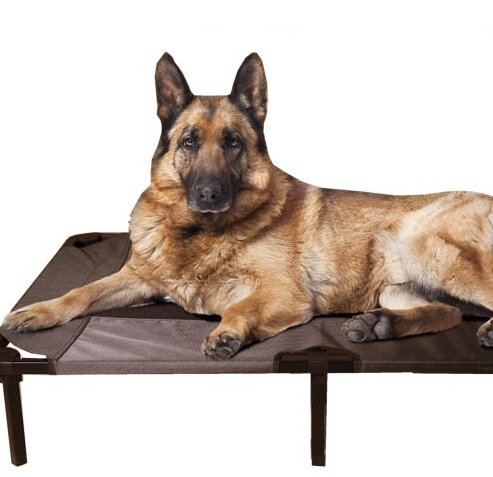 Lucky Dog Elevated Dog Bed