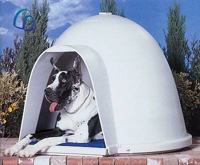 dog igloo xl