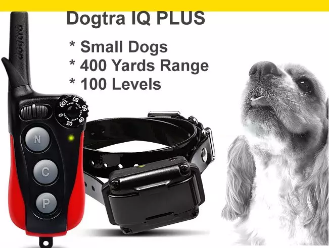 Dogtra IQ Training Collar
