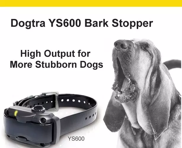 Dogtra YS600 Bark Collar