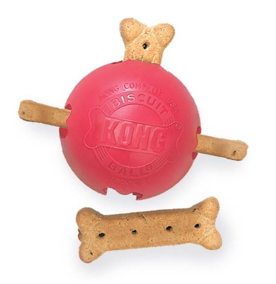 kong biscuit ball