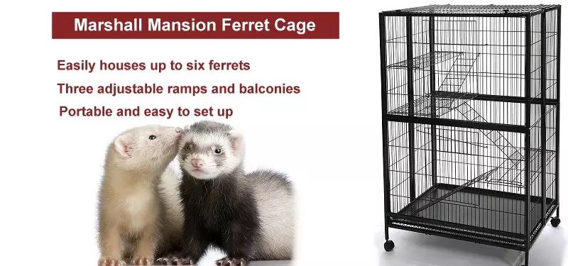 marshall ferret mansion