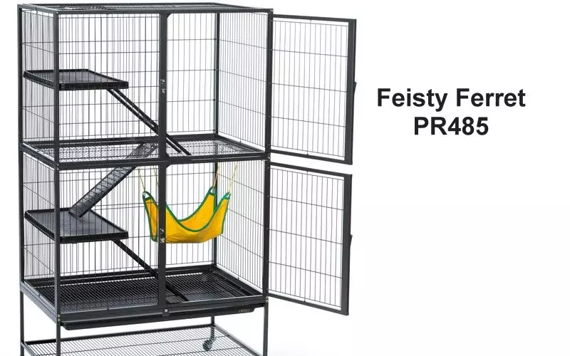 Download Books Feisty ferret cage For Free