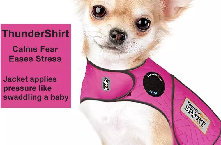 Dog Thundershirt helps prevent anxiety 
